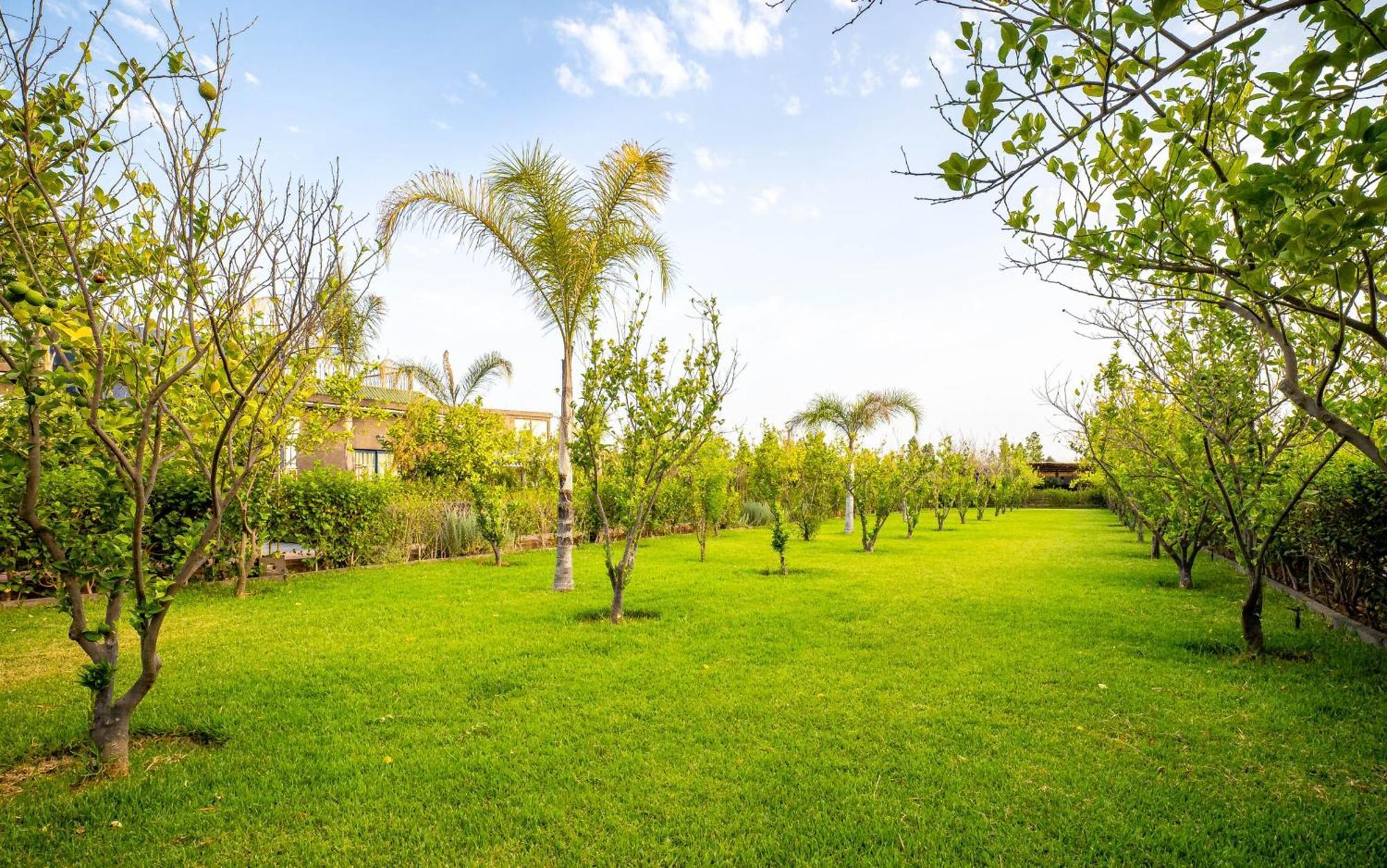 Hotel The Lemonary Marrakech Ouled Moumen Exterior foto